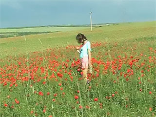 Beautiful teen girl gets off in wildflowers